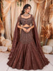 Chocolate Brown Heavy Sequins and Silver Beads Embroidered Design Net Mermaid Bridal Lehenga with Matching Choker Dupatta