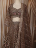 Coffee Brown Heavy Sequins and Beads Embroidered Design Net Lehenga With Net Dupatta