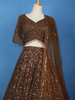 Coffee Brown Sequins And Beads Embellished Net Lehenga With Net Dupatta