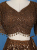 Coffee Brown Sequins And Beads Embellished Net Lehenga With Net Dupatta