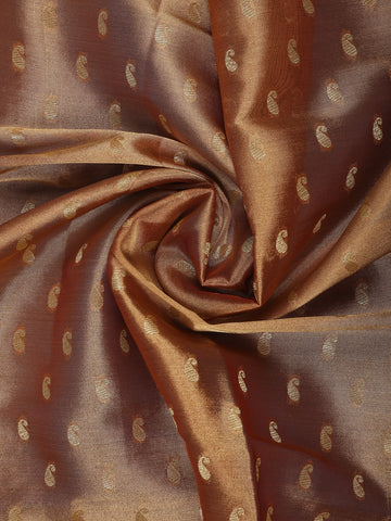 Copper Brown Paisley Design Tissue Saree - Diadem