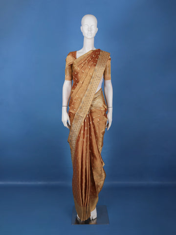 Copper Brown Paisley Design Tissue Saree - Diadem