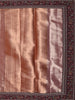 Copper Butta Zari Embroidered Design Pure Tissue Organza Party Wear Saree with Designer Border
