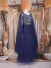 Dark Blue Sequins and Beads Embroidered Design Net Gown