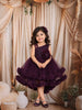Deep Aubergine Purple 3D Floral Appliqué Sequins Embroidered Design Ruffled Layered Tulle Net Party Wear Frock