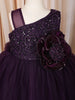Deep Aubergine Purple 3D Floral Appliqué Sequins Embroidered Design Ruffled Layered Tulle Net Party Wear Frock