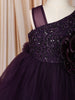 Deep Aubergine Purple 3D Floral Appliqué Sequins Embroidered Design Ruffled Layered Tulle Net Party Wear Frock