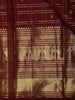 Deep Maroon Checked Zari Woven Design Pure Kanchipuram Silk Saree with Zari Border
