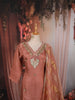 Dusty Peach Leafy Sequins and Beads Embroidered Design Organza Straight Cut Salwar Suit with Matching Dupatta