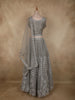 Elegant Dove Grey Mirror and Thread Embroidered Design Net Lehenga With Dupatta