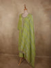 Fresh Pistachio Lime Green Heavy Sequins Embroidered Design Tissue Silk Palazzo Suit