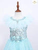 Sky Blue Gown Embellished in Sequins with Frilled Bottom - Diadem