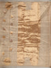 Golden Beige Floral Butta Woven Design Tissue Saree with Gold Zari Border