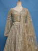 Golden Beige Floral Design Heavy Embroidered Net Lehenga