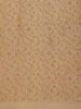 Golden Beige Floral Design Tissue Silk Saree with Zari Border