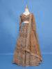 Golden Brown Heavy Embroidered Design Net Lehenga