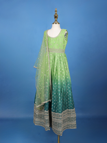 Green Floral Designed Sequins Work Banarasi Gown with Net Dupatta - Diadem