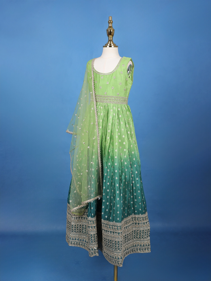 Green Floral Designed Sequins Work Banarasi Gown with Net Dupatta - Diadem