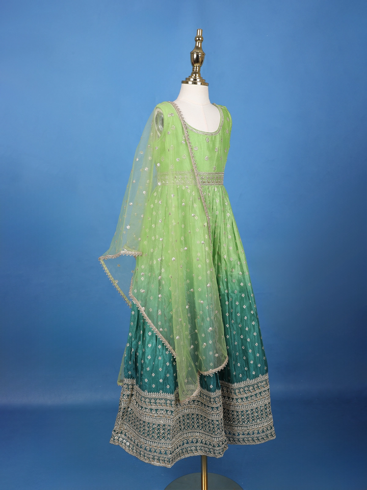 Green Floral Designed Sequins Work Banarasi Gown with Net Dupatta - Diadem