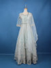 Ice Blue Geometric Embroidered Design Net Gown