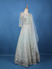 Ice Blue Geometric Embroidered Design Net Gown