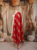 Ivory Cream Floral Zari Woven Design Silk Anarkali Salwar Suit with Contrast Ruby Red Dupatta