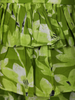 Leaf Green Floral Printed Design Cotton Kids Fancy Wear Co-Ord Set
