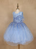 Light Blue Sequin Embellished Party Wear Net Frock - Diadem