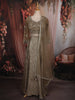 Light Brown Sequins and Beads Embroidered Design Textured Lehenga With Dupatta