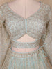 Light Green Floral And Sequins Embroidered Net Bridal Lehenga Set - Diadem