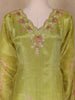Light Green Floral Design Organza Salwar Suit