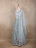 Light Green Geometric Embroidered Design Net Gown