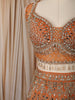 Light Orange Heavy Mirror and Beads Embroidered Design Net Lehenga With Net Dupatta