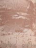 Light Peach Floral Design Pure Tissue Silk Saree