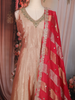 Light Peach Floral Embroidered Tissue Silk Gown with Dupatta