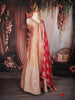 Light Peach Floral Embroidered Tissue Silk Gown with Dupatta