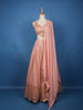 Light Pink Floral Embroidered Banarasi Silk Lehenga