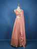 Light Pink Floral Embroidered Banarasi Silk Lehenga