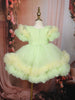 Light Pistachio Floral 3D Design Net Party Wear Kids Frock