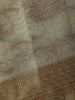 Light Beige Gold Floral Design Woven Tissue Silk Saree - Diadem