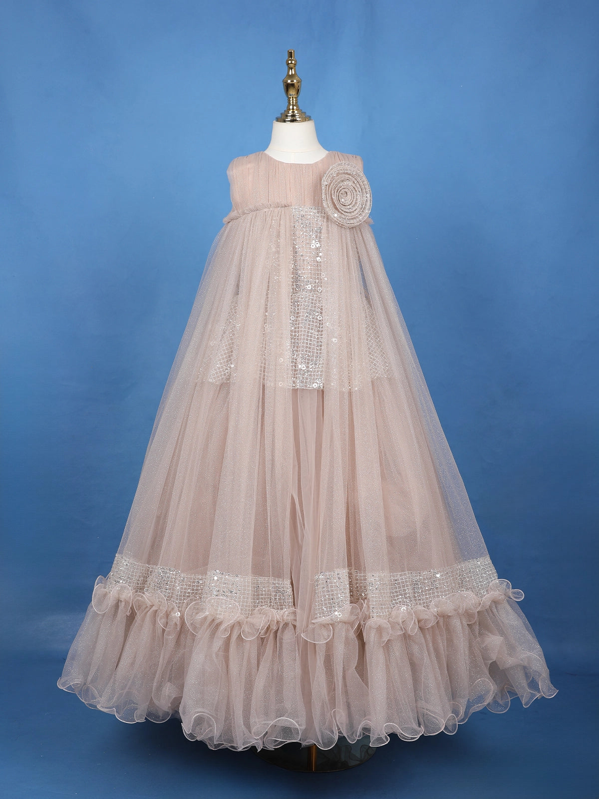 Beige Floral Design Sequins Work Net Gown
