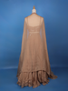 Light Brown Sequins Beaded Neted Lehenga Paired with Dupatta