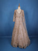 Light Pink Floral Embroidery Net Bridal Gown - Diadem