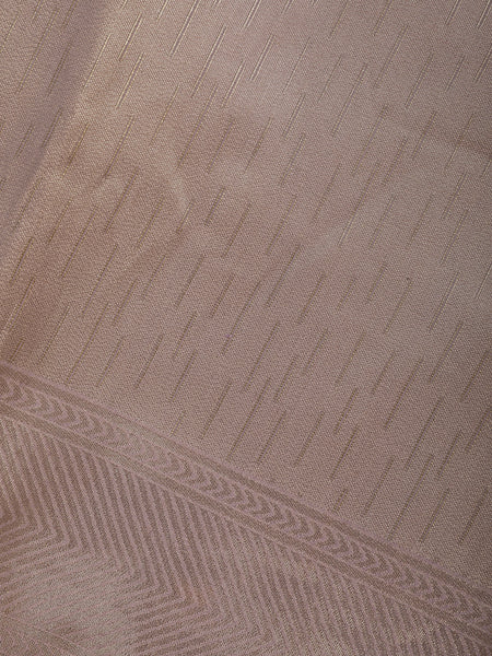 Light Purple Minimal Design Woven Tissue Silk Saree - Diadem