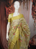 Lime Yellow Floral Vine and Birds Motif Thread Embroidered Design Pure Tissue Silk Fancy Saree with Geometric Thread Work Border