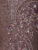 Mauve Purple Heavy Sequins and Beads Embroidered Design Mermaid Sequins Lehenga with Choker Dupatta