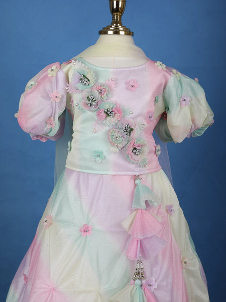 MultiColor 3D Floral Embellishments Organza Kids Lehenga - Diadem