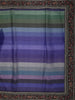 Multicolor Horizontal Striped Woven Design Pure Tussar Saree with Sequins Border