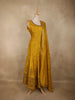Mustard Yellow Butta Zari Woven Design Banarasi Palazzo Suit with Dupatta
