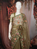 Muted Vine Olive Green Floral Vine Thread Embroidered Design Organza Party Wear Saree with Lace Border